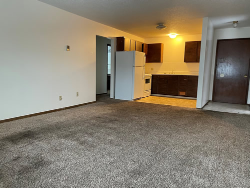 living room and  kitchen