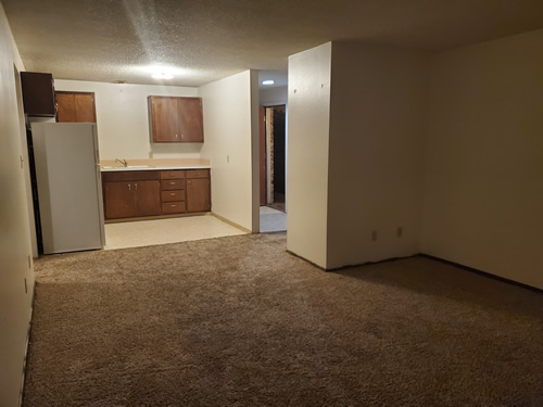 livingroom and kitchen