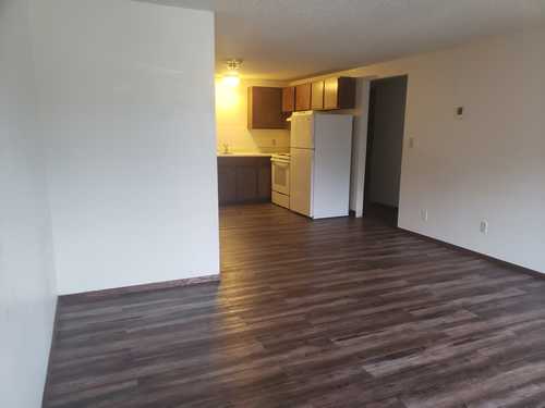 Livingroom and kitchen