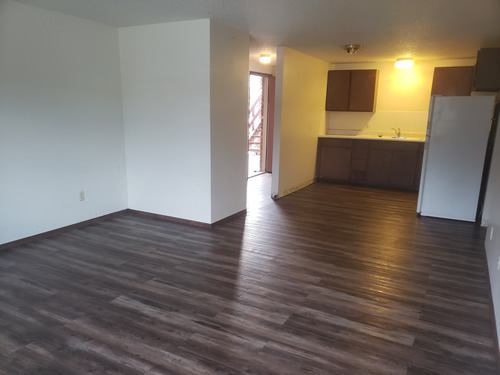 Livingroom and Kitchen