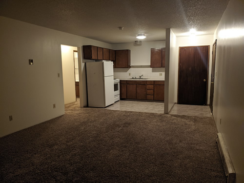 livingroom and kitchen