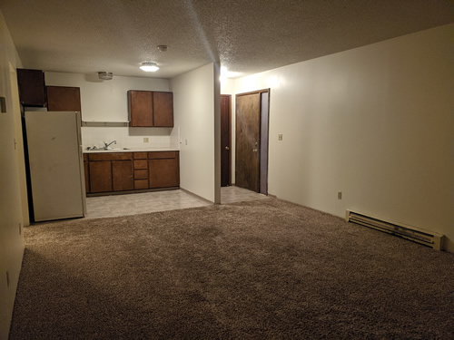 livingroom and  kitchen